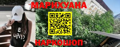 крисы Абакан