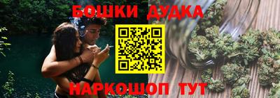 крисы Абакан