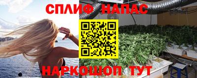 крисы Абакан