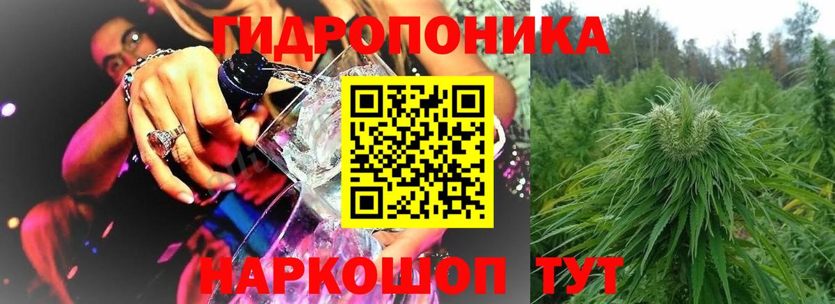 Алейск  Бошки марихуана MAZAR  Вход с VPN  Шишки марихуана VHQ  Конопля ГИДРОПОН 